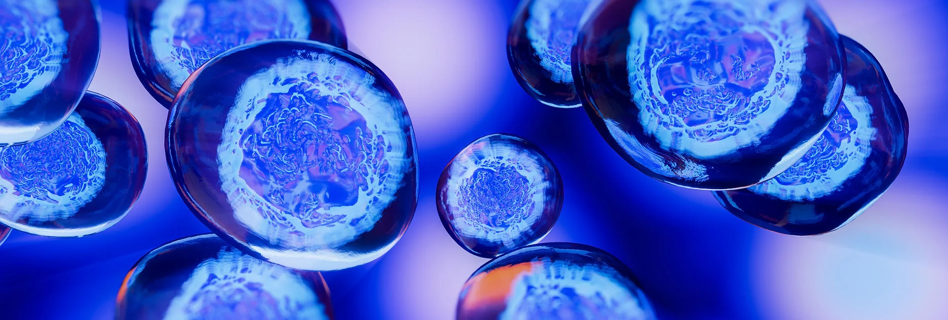 9736a7_1753b22488384d4e8cb8ee77f1e91bcc~mv2