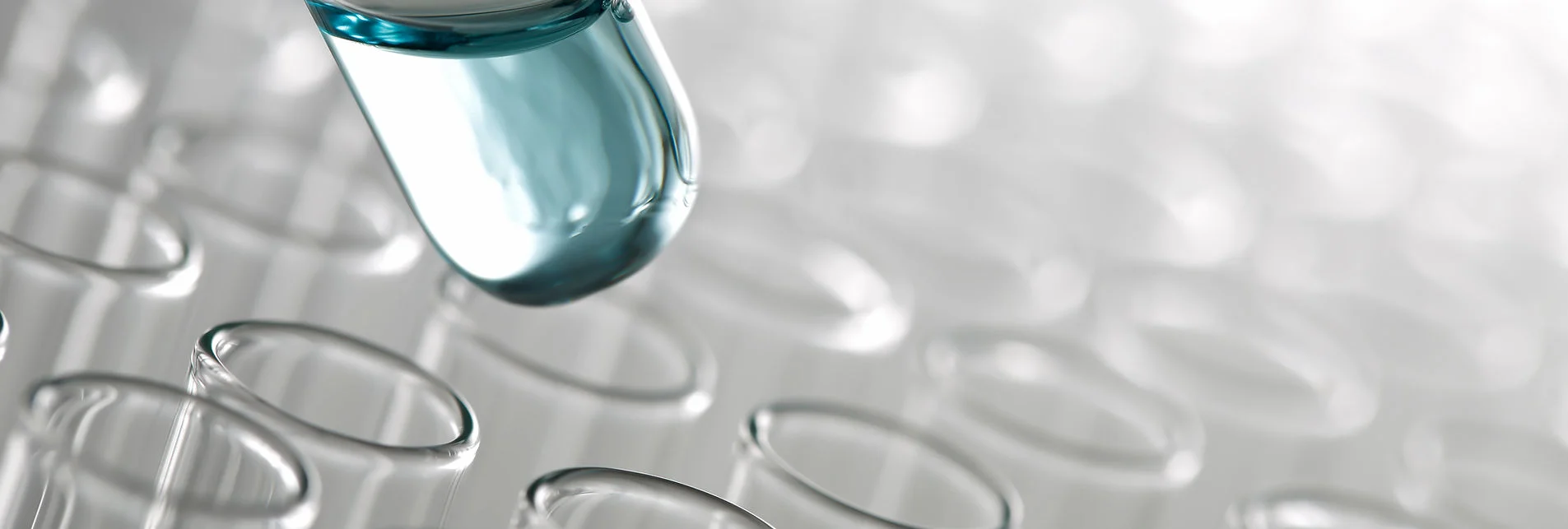 9736a7_92842c6312924328b88954477319cfd5~mv2